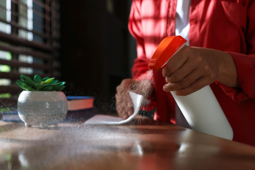 How to Get Rid of Gnats in House