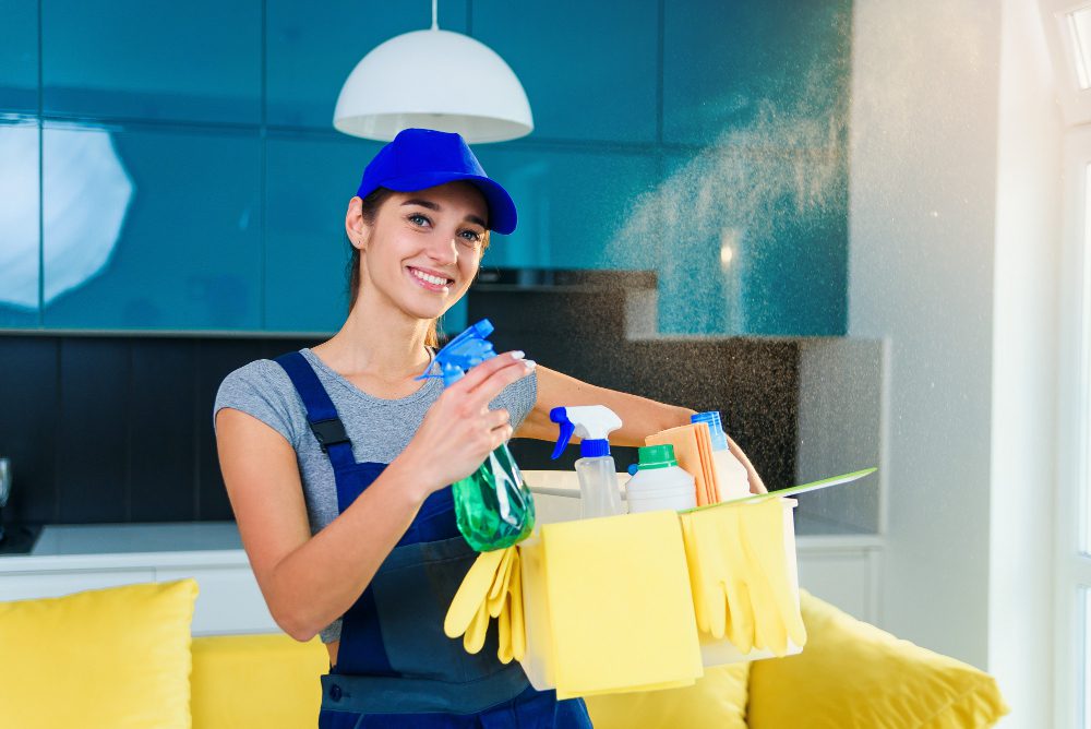 Professional Home Cleaning vs DIY