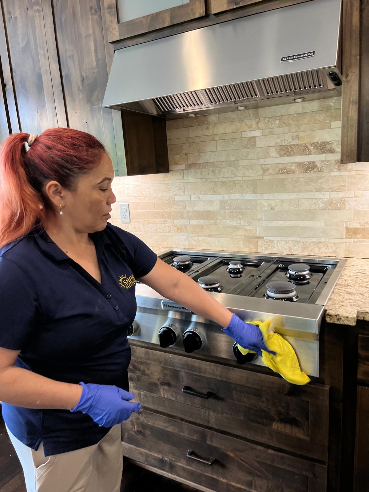 maid service recurring plan Twin Cities