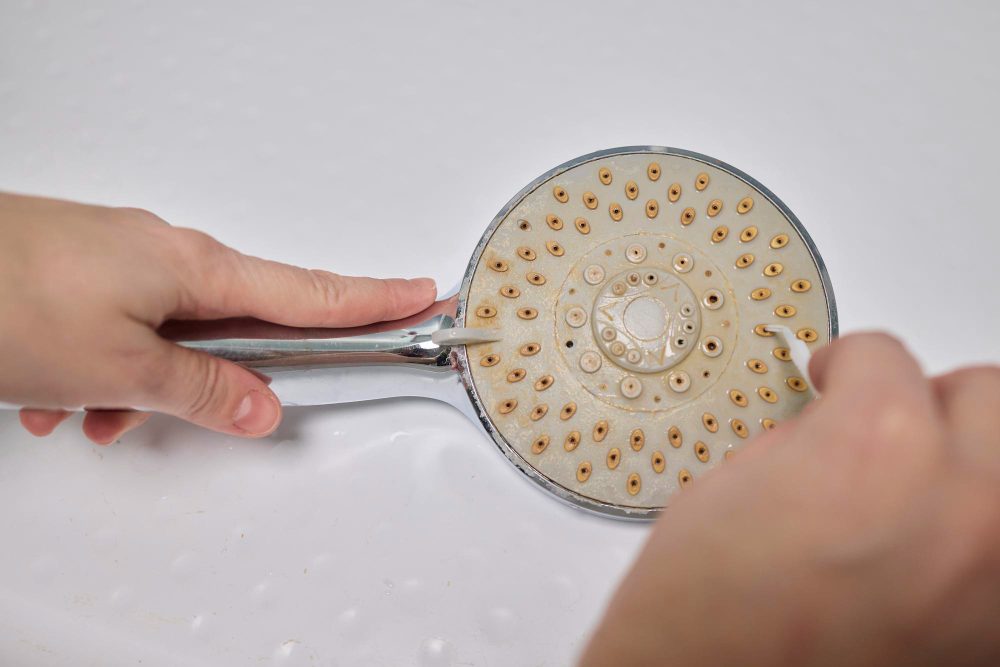 How to Remove Shower Mold (And Keep It From Coming Back)