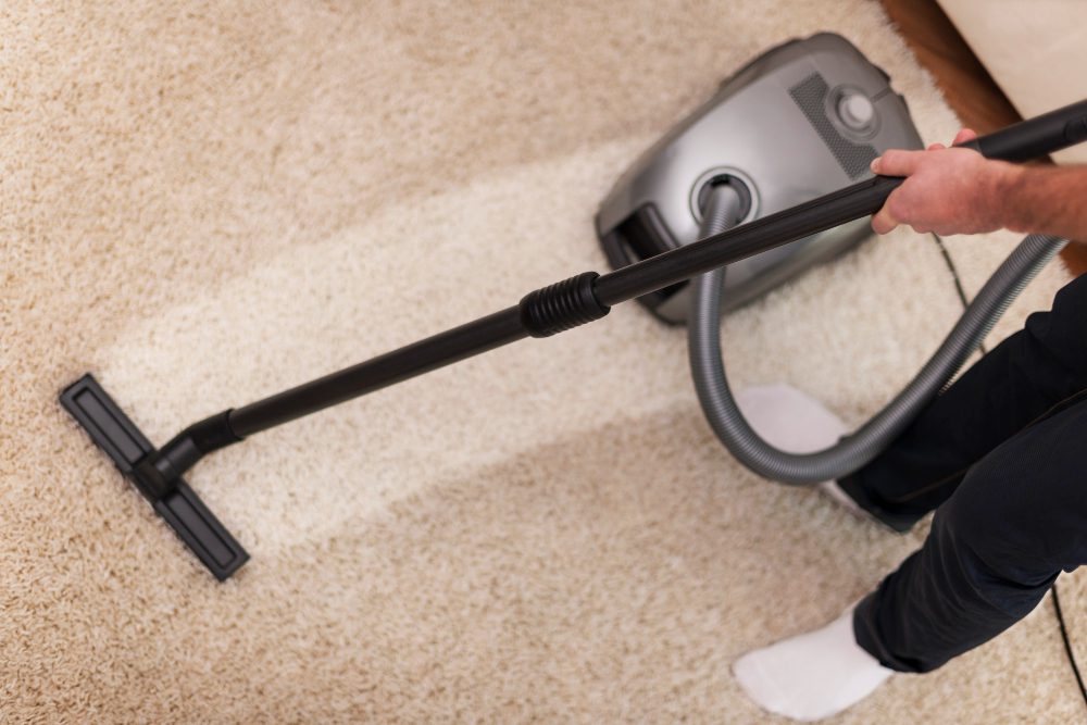 Carpet Cleaning 101: DIY vs. Professional (What Actually Works)