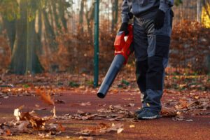 fall cleaning
